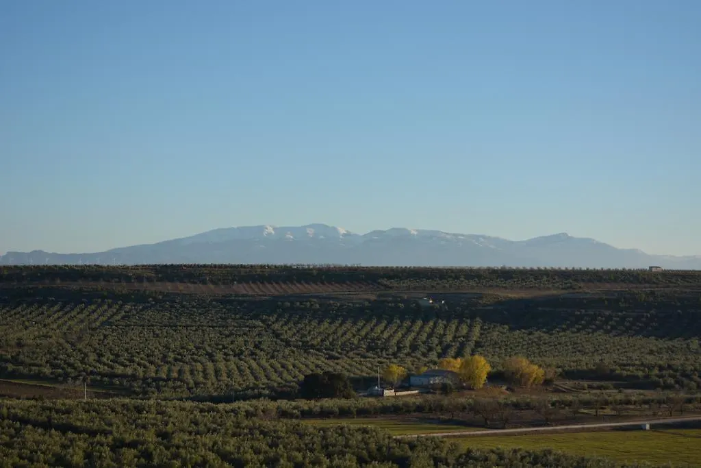 Casas Cuevas Elmirador Guest House Fontanar Country house